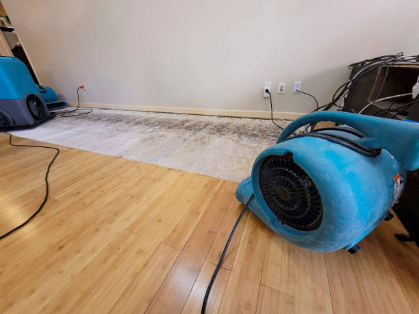 Reliable Burst Pipe Water Damage contractor in Providence, RI by Hirex Water Damage